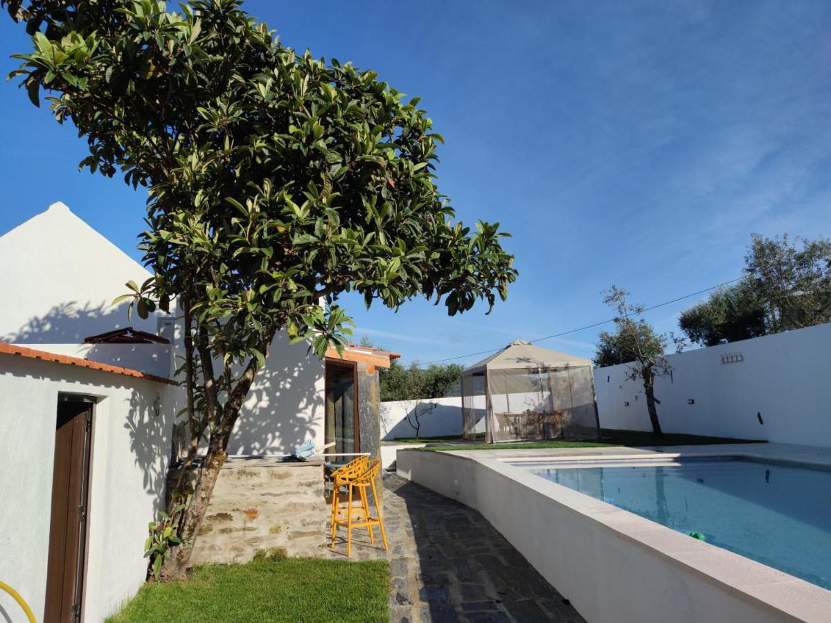 Pomar Das Oliveiras - Private Swimming Pool - Free Ev Chrg - Pet Friendly Carvalhal  Εξωτερικό φωτογραφία