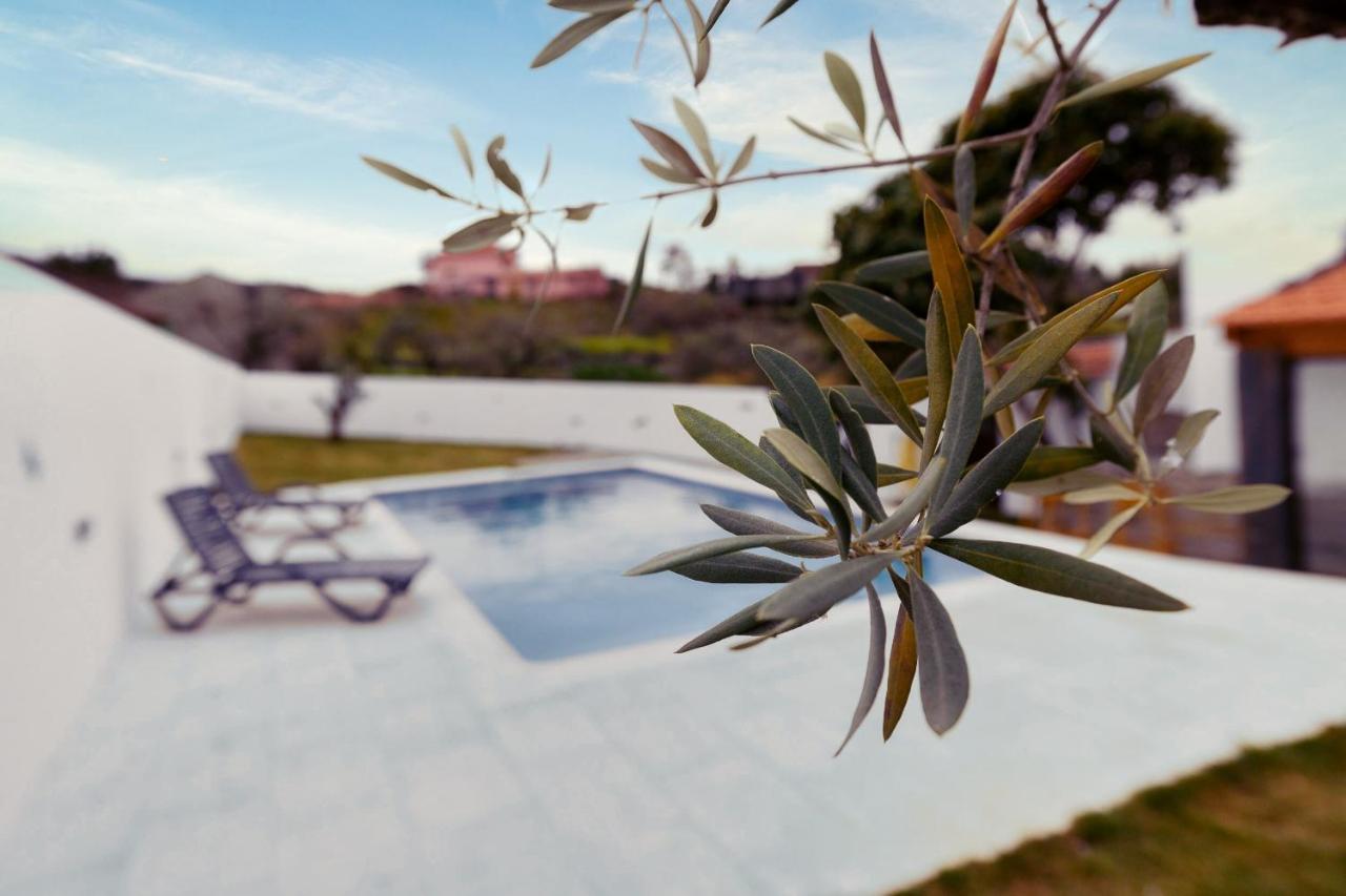 Pomar Das Oliveiras - Private Swimming Pool - Free Ev Chrg - Pet Friendly Carvalhal  Εξωτερικό φωτογραφία