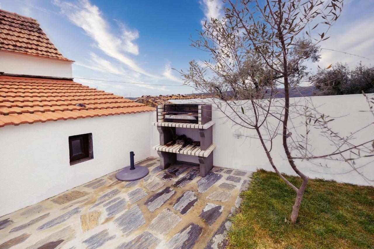 Pomar Das Oliveiras - Private Swimming Pool - Free Ev Chrg - Pet Friendly Carvalhal  Εξωτερικό φωτογραφία